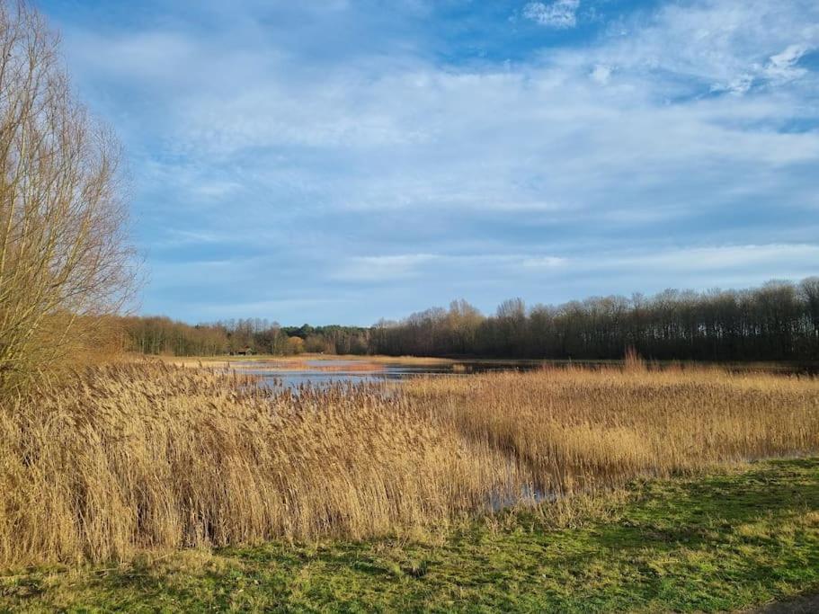 Luxe-Avontuur In Een Romantische Cabin In Het Bos Stekene Exteriér fotografie